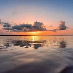 Essequibo River - Orealla