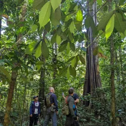 Guided Jungle Treks - Orealla