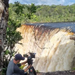 Guided Jungle Treks - Orealla