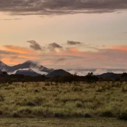 Guided Jungle Treks - Orealla