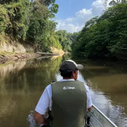 Guided Jungle Treks - Orealla