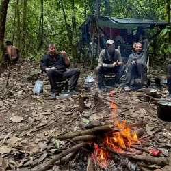 Guided Jungle Treks - Orealla