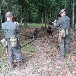 Guided Jungle Treks - Orealla