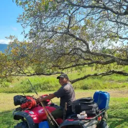 Guided Jungle Treks - Orealla