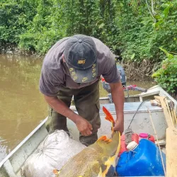 Guided Jungle Treks - Orealla