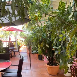 Traditional Cuisine Tasting - Orealla