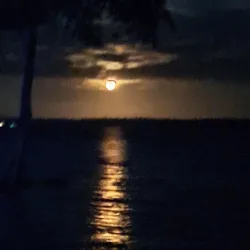 Essequibo River - Paradise