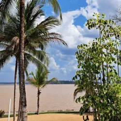 Essequibo River - Paradise