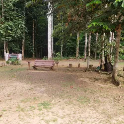 Iwokrama Canopy Walkway - Paradise