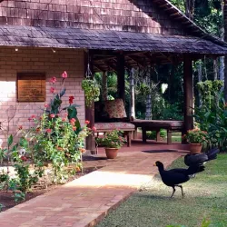 Iwokrama Canopy Walkway - Paradise