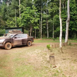 Iwokrama Canopy Walkway - Paradise