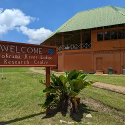 Iwokrama River Lodge - Paradise