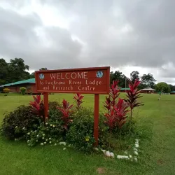 Iwokrama River Lodge - Paradise