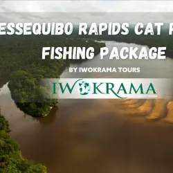 Iwokrama River Lodge - Paradise