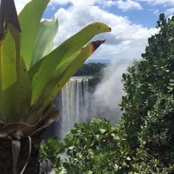 Kaieteur Falls - Paradise