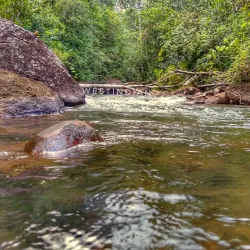 Kanuku Mountains - Paradise