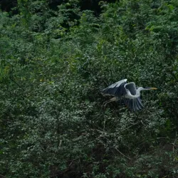 Rewa Village - Paradise