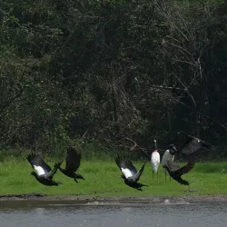 Rewa Village - Paradise