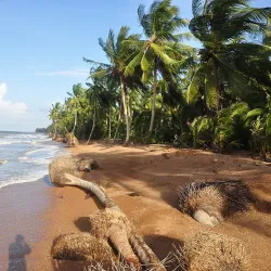 Shell Beach - Paradise