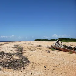 Shell Beach - Paradise