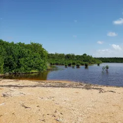 Shell Beach - Paradise