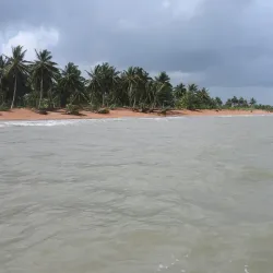 Shell Beach - Paradise