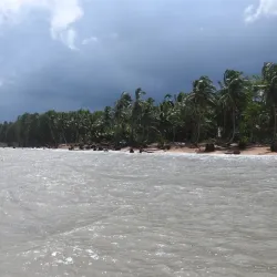 Shell Beach - Paradise