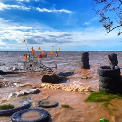 Essequibo Coast Beaches - Parika