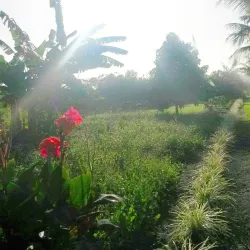 Essequibo Islands-West Demerara Region - Parika
