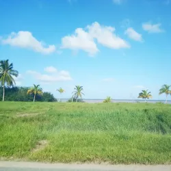 Essequibo Islands-West Demerara Region - Parika