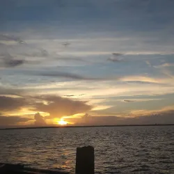 Essequibo River Ferry Terminal - Parika