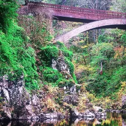 Hogg Island - Parika