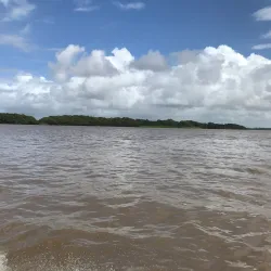 Hogg Island - Parika