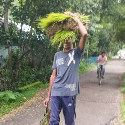 Hogg Island - Parika