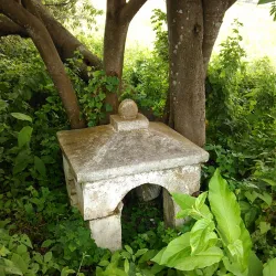 Local Hindu Temples - Port Mourant