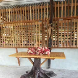 Local Rice Farms - Port Mourant