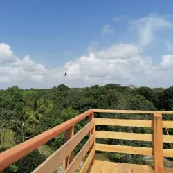 Local Rice Farms - Port Mourant