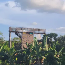 Local Rice Farms - Port Mourant