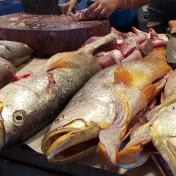 Port Mourant Market - Port Mourant