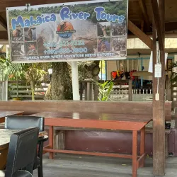 Boat Tours and River Cruises - Rockstone