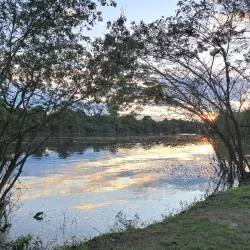 Fishing Excursions - Rockstone