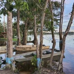 Fishing Excursions - Rockstone