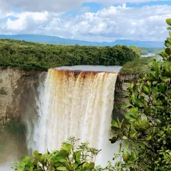 Rainforest Exploration - Rockstone