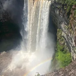 Rainforest Exploration - Rockstone