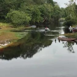 Rainforest Exploration - Rockstone