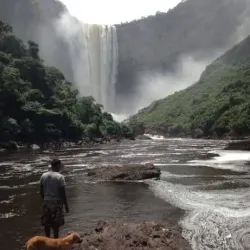 Rainforest Exploration - Rockstone