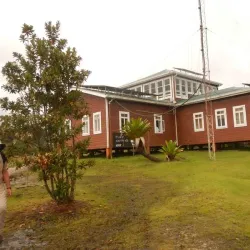 Rainforest Exploration - Rockstone