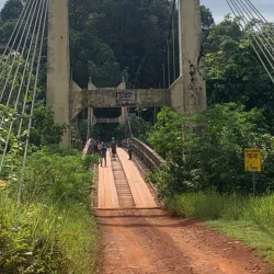 Rainforest Exploration - Rockstone