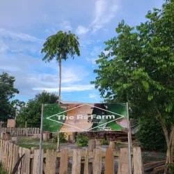 Agricultural Tours - Rosignol