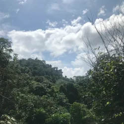 Takama Forest Reserve - Takama